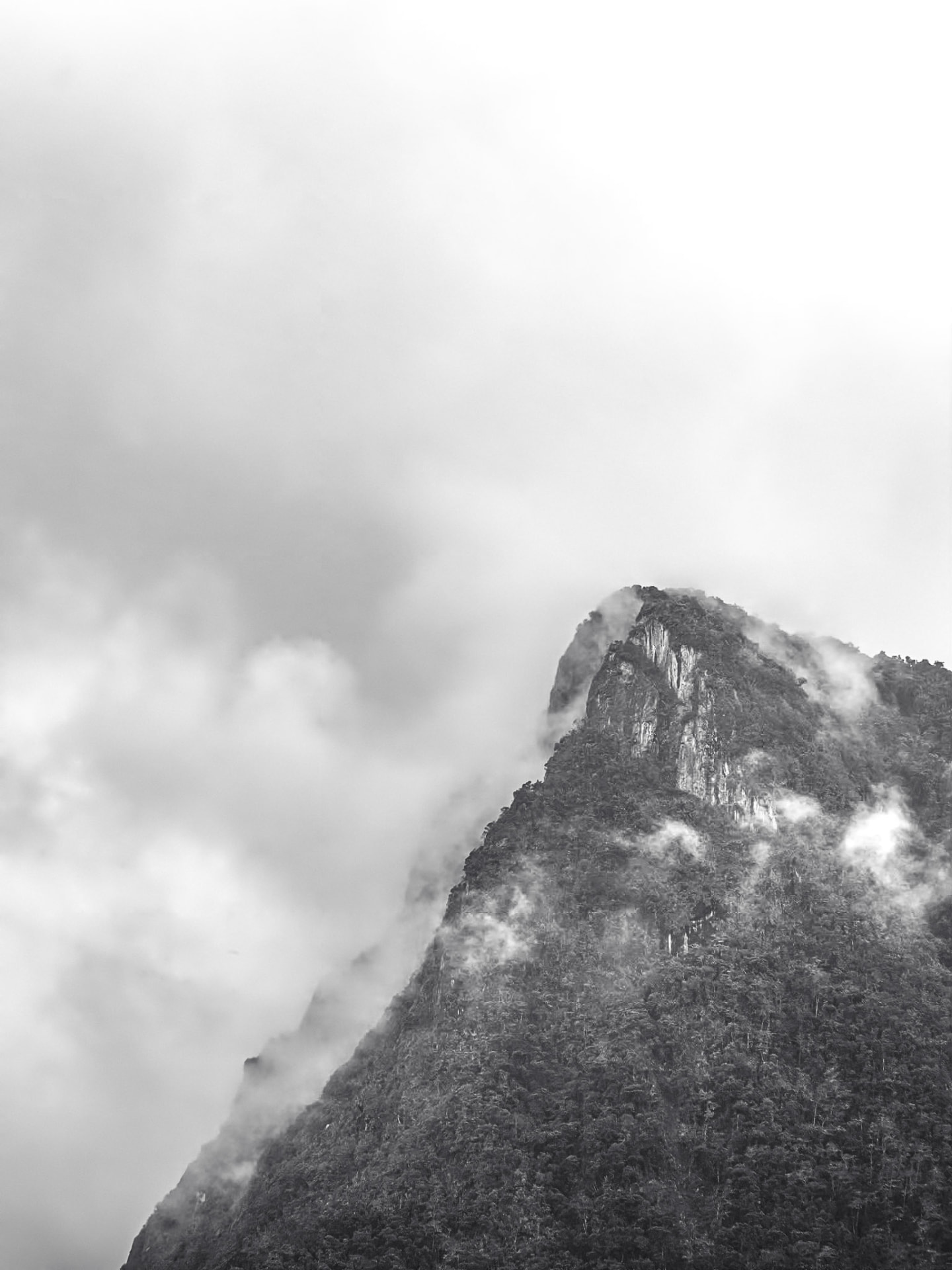 Cocora I