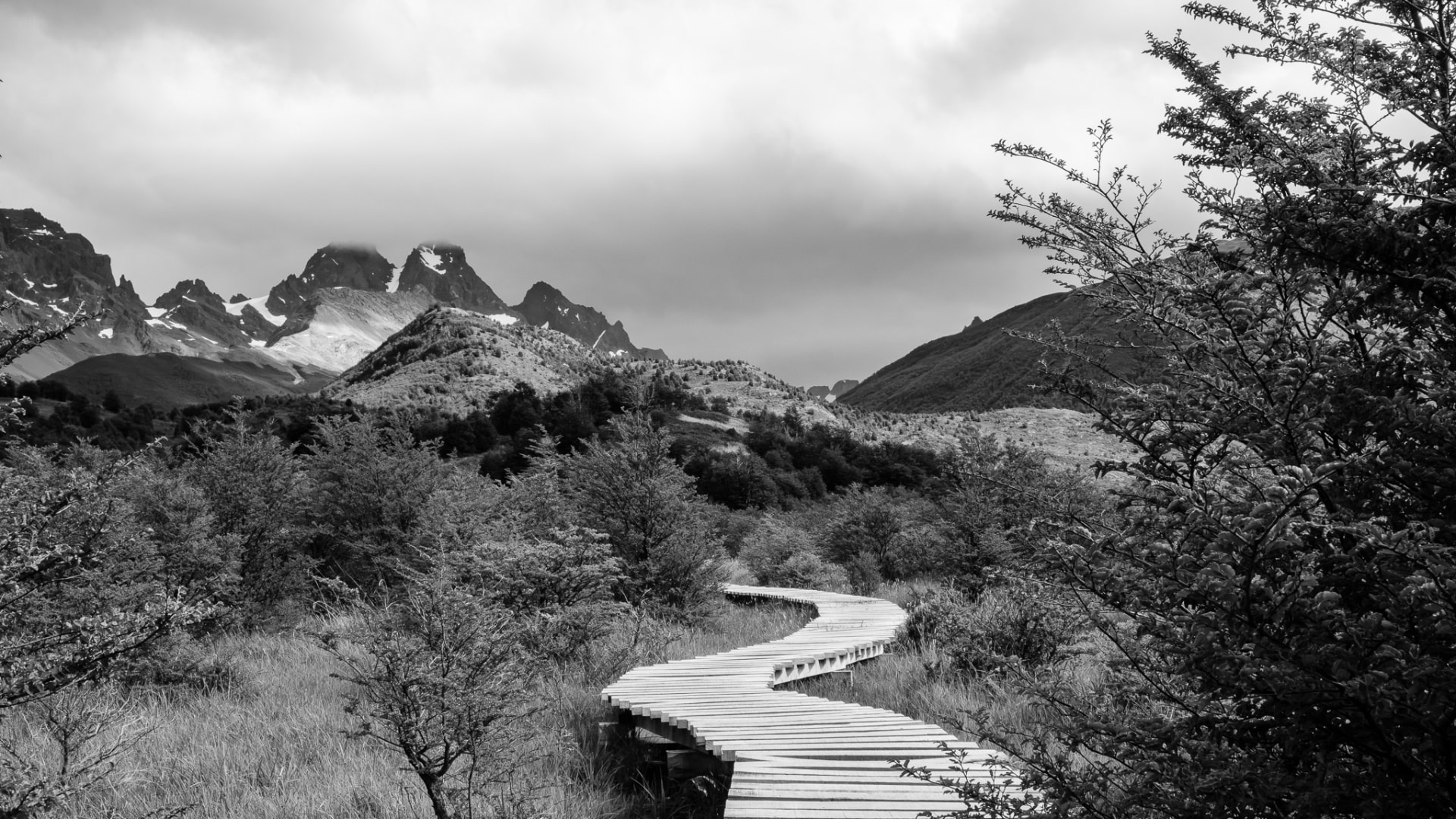 Sendero de madera que serpentea entre arbustos con macizos montañosos de fondo en Torres del Paine